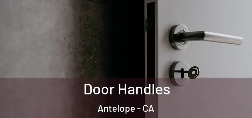  Door Handles Antelope - CA