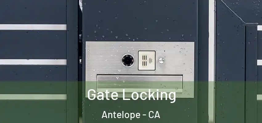 Gate Locking Antelope - CA