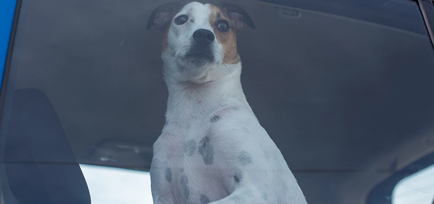 Car Lockout Solutions in Antelope, California