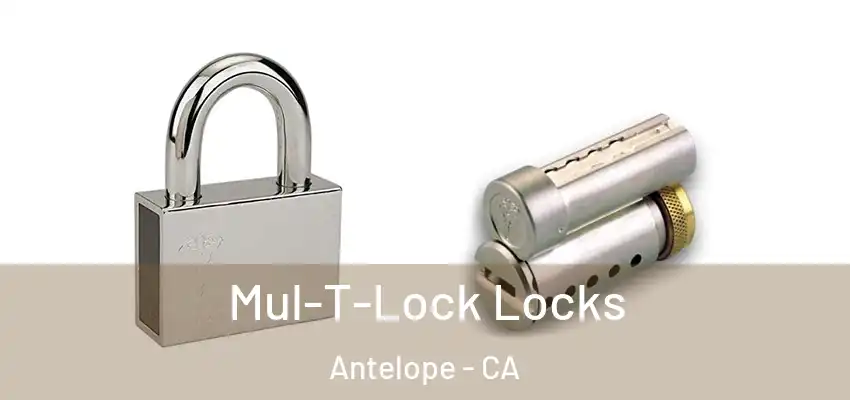  Mul-T-Lock Locks Antelope - CA