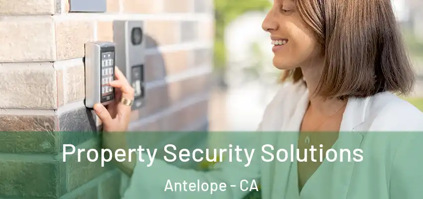  Property Security Solutions Antelope - CA